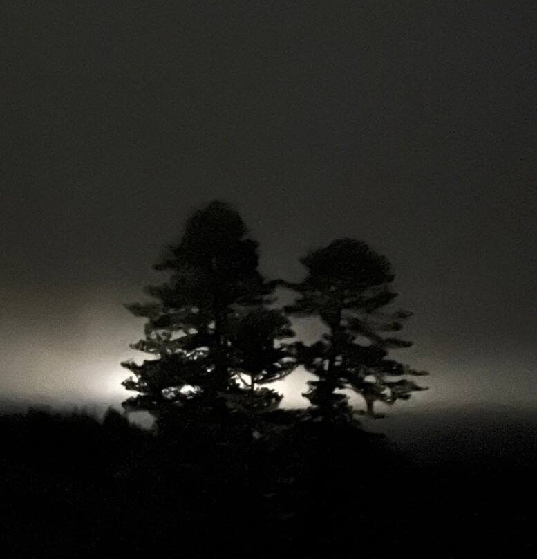 Seaview Norfolk Island主图