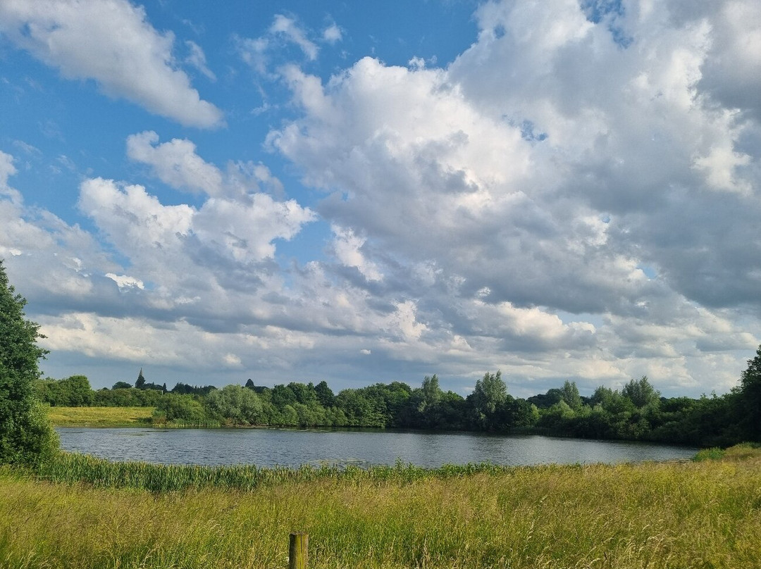 Staveley Nature Reserve景点图片