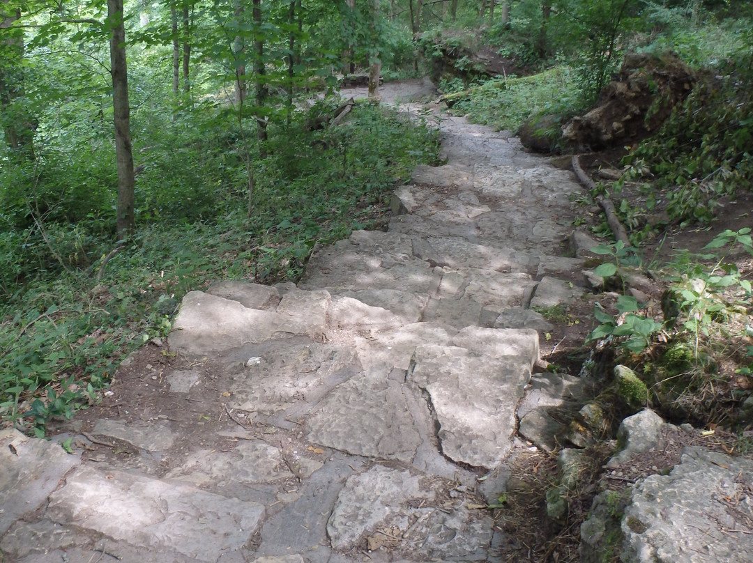 Glen Helen Nature Preserve-Yellow Springs必去景点