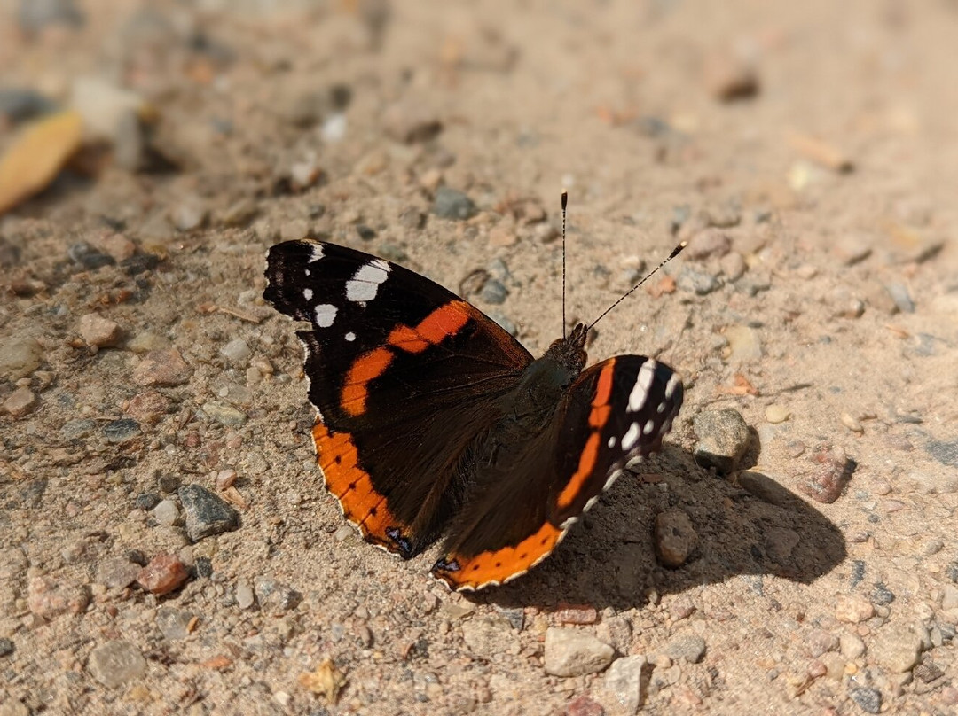 IGA Park Rostock-罗斯托克必去景点