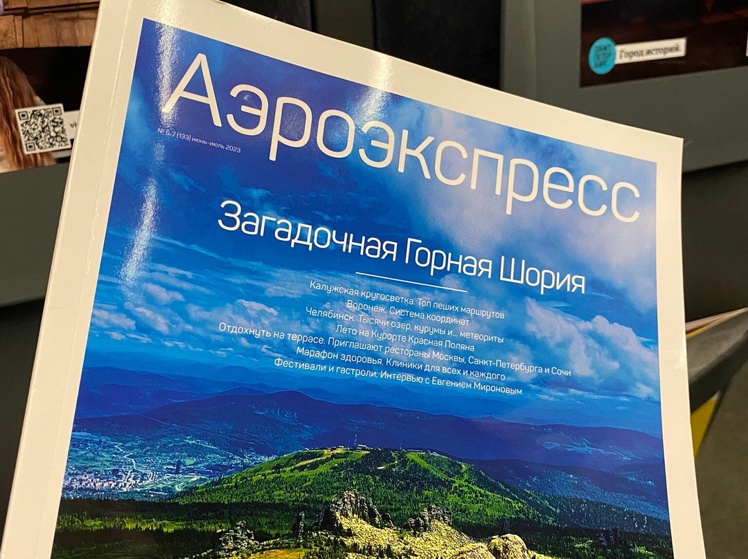 Aeroexpress景点图片