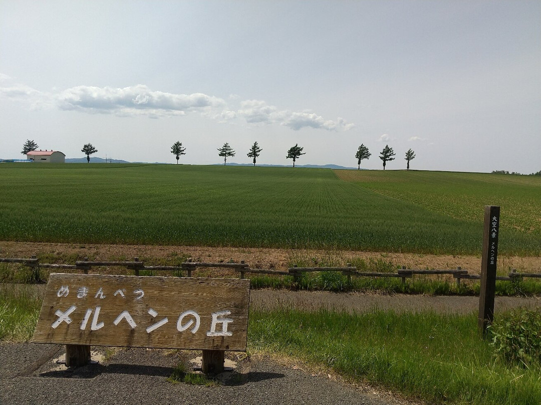 Marchen no Oka-大空町必去景点