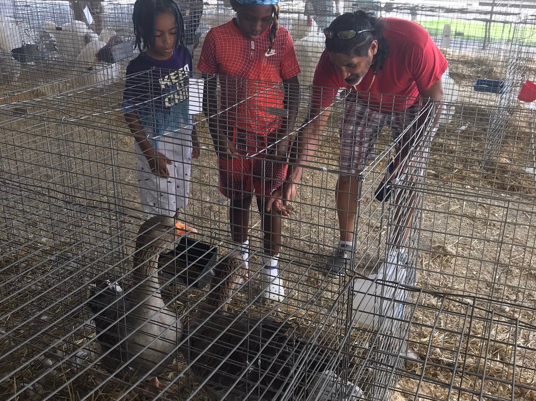 2010俄亥俄世博中心与国家博览会-哥伦布必去景点