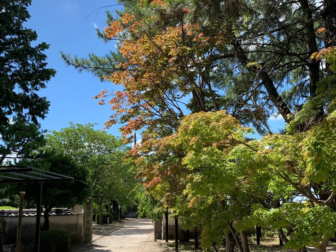 Daijuji Temple-冈崎市必去景点