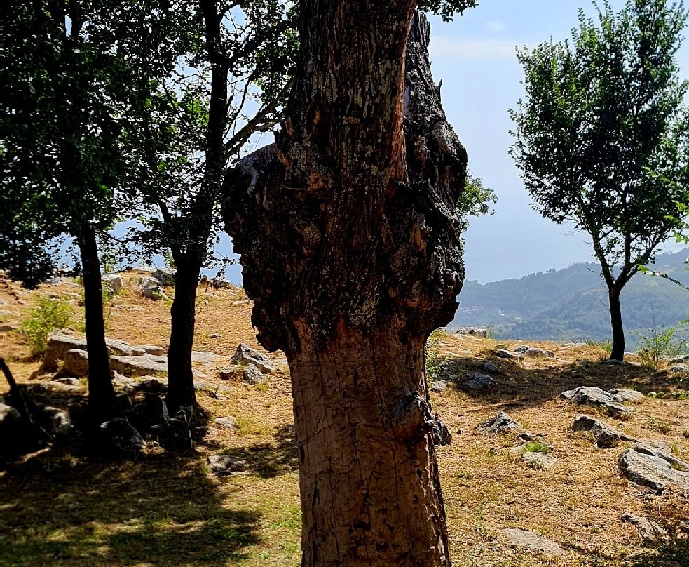 Santuario di Monte Tubenna-Castiglione del Genovesi必去景点
