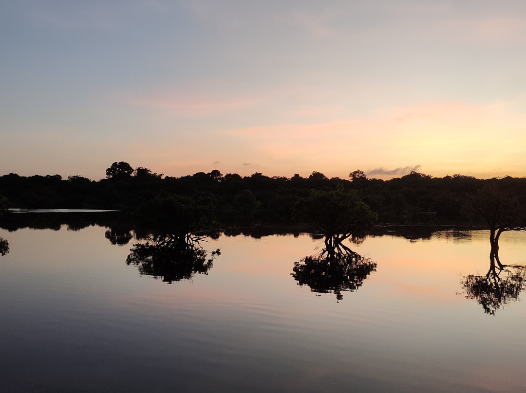 Amazon Green Island tour-Novo Airao必去景点