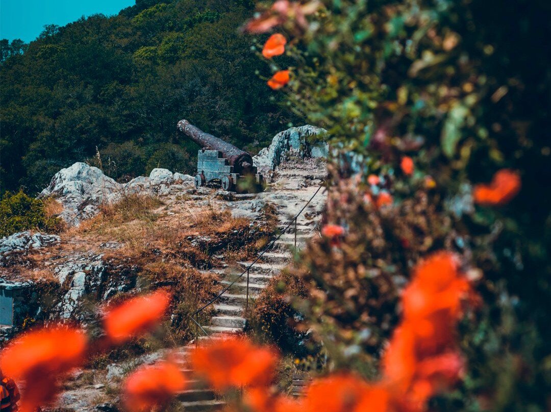 Rocher de la Roche-Bernard-La Roche-Bernard必去景点