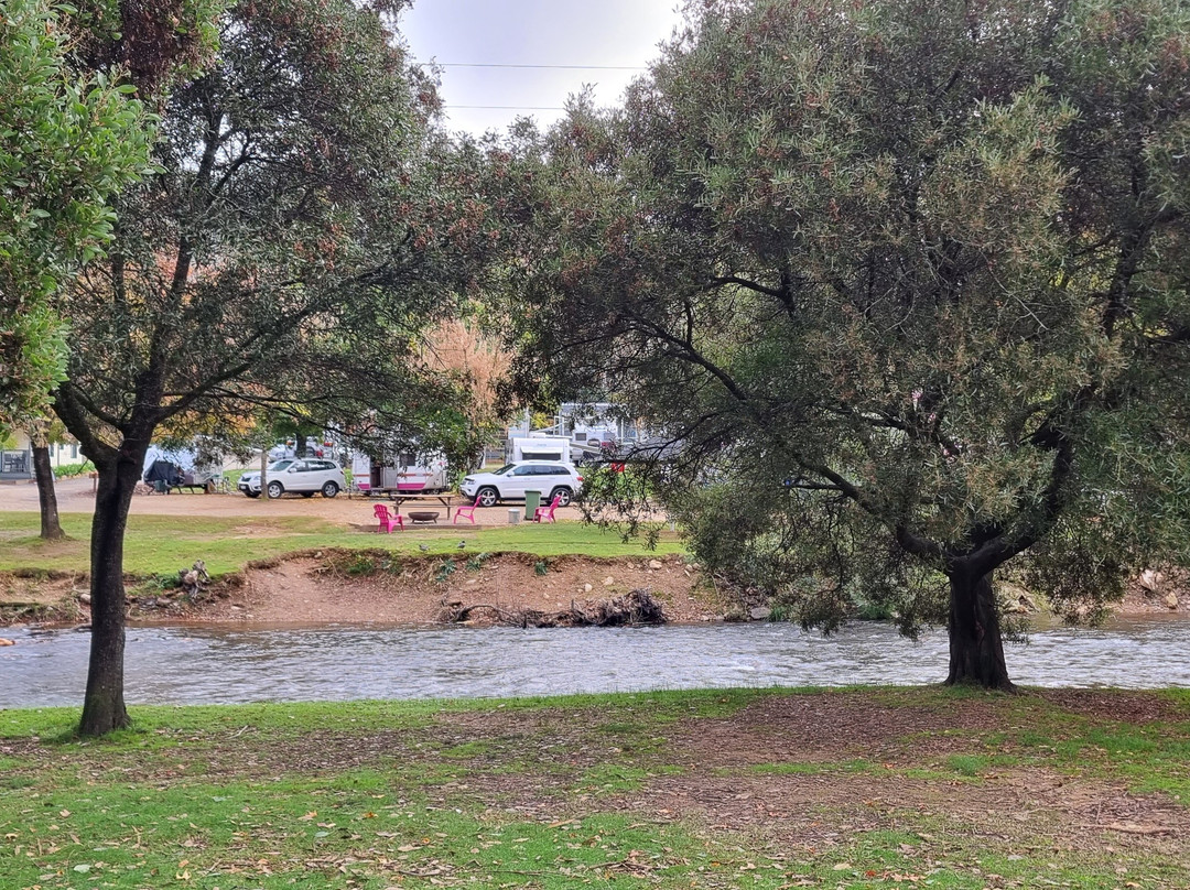 Howitt Park-布赖特必去景点