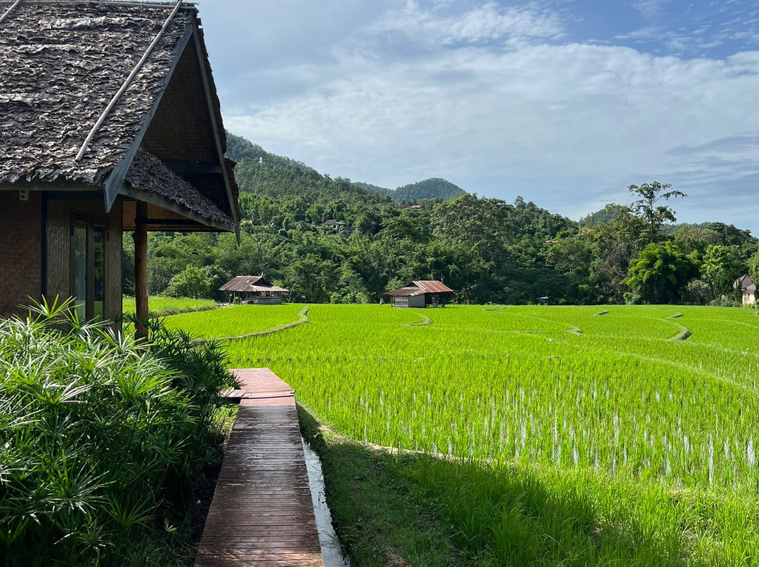 康纳小屋主图
