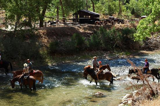 Emerald Pools-锡安国家公园必去景点