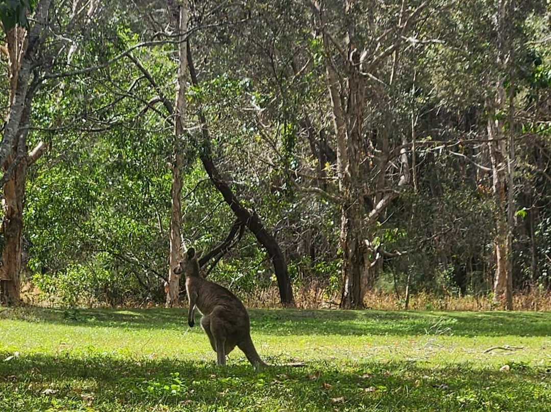 Coombabah Lakes Conservation Area-Coombabah必去景点