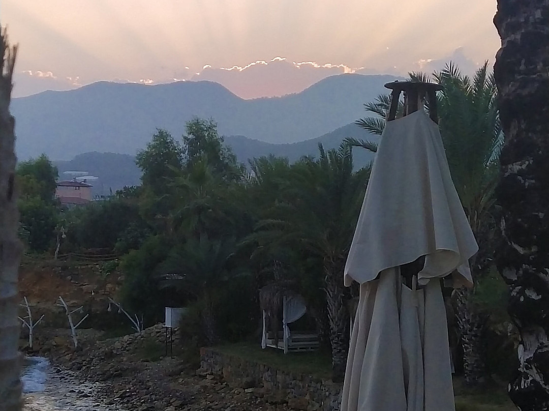 Elysium Garden主图