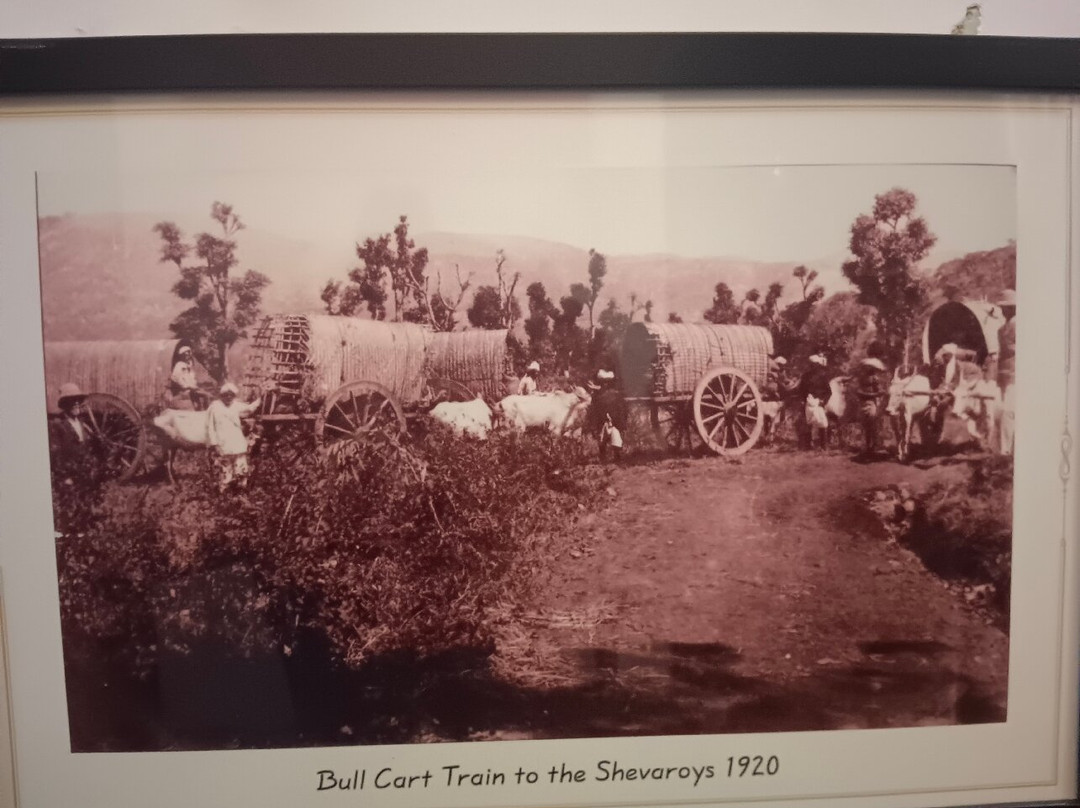 The Regent Hill Side Villa & Resort主图