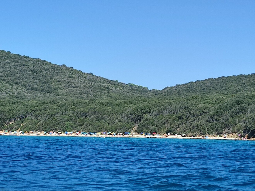 Cala Violina Dream景点图片