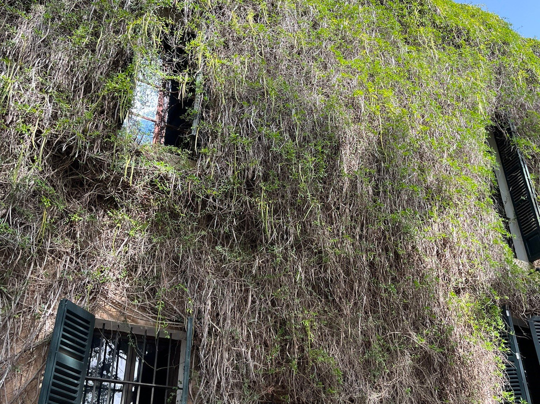 Refugio Son Pons主图