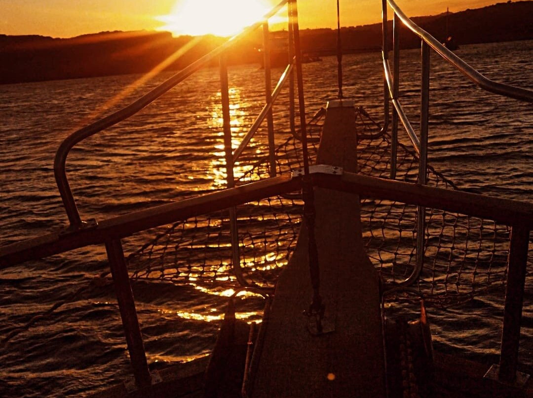 Bayside and Tora Boat Tours-博德鲁姆必去景点