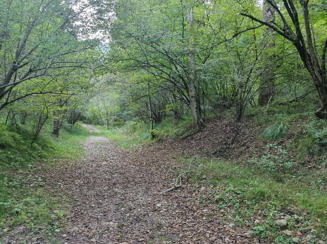 Riserva Naturale Vincheto di Celarda景点图片