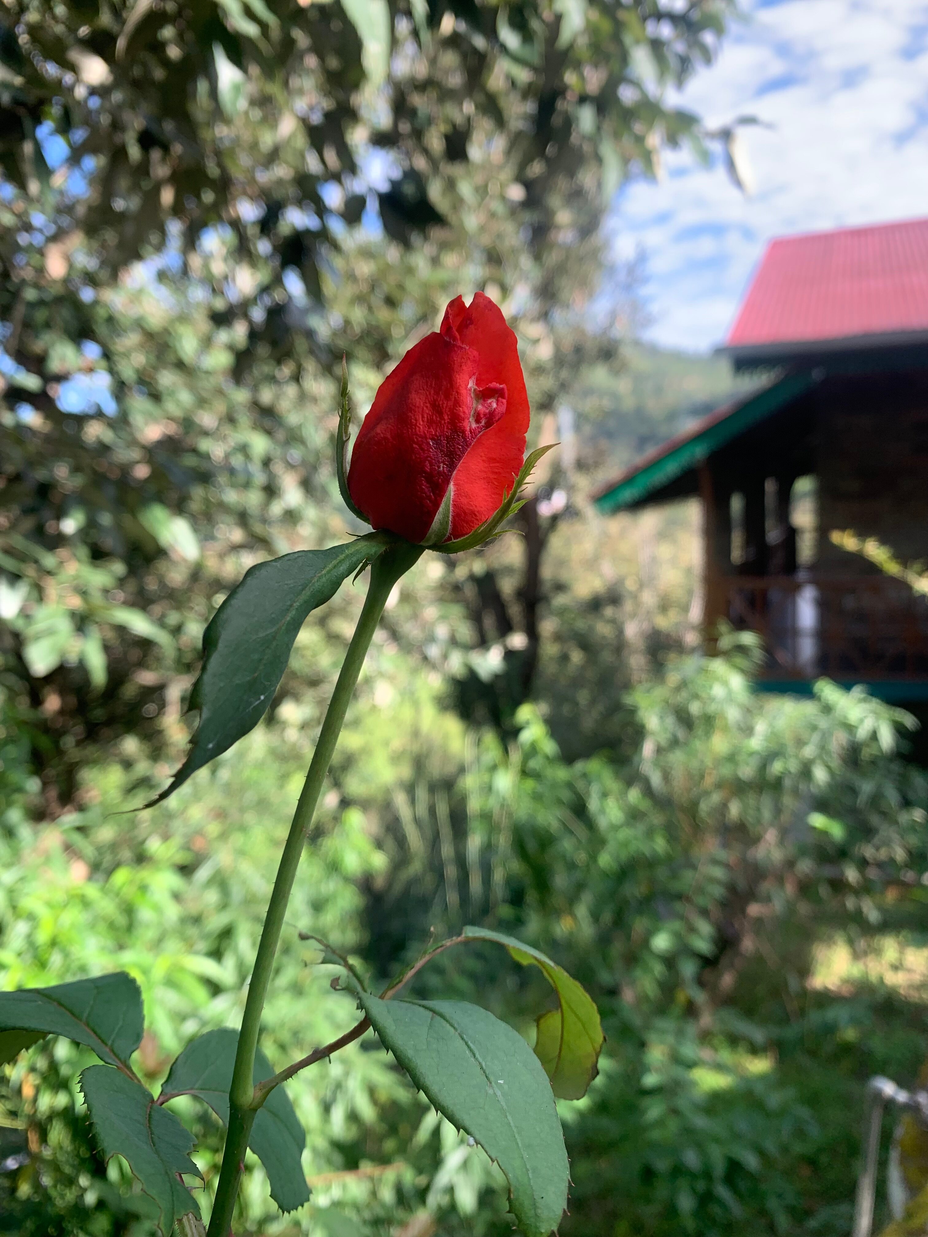 The Green Village Eco Resort-浴室