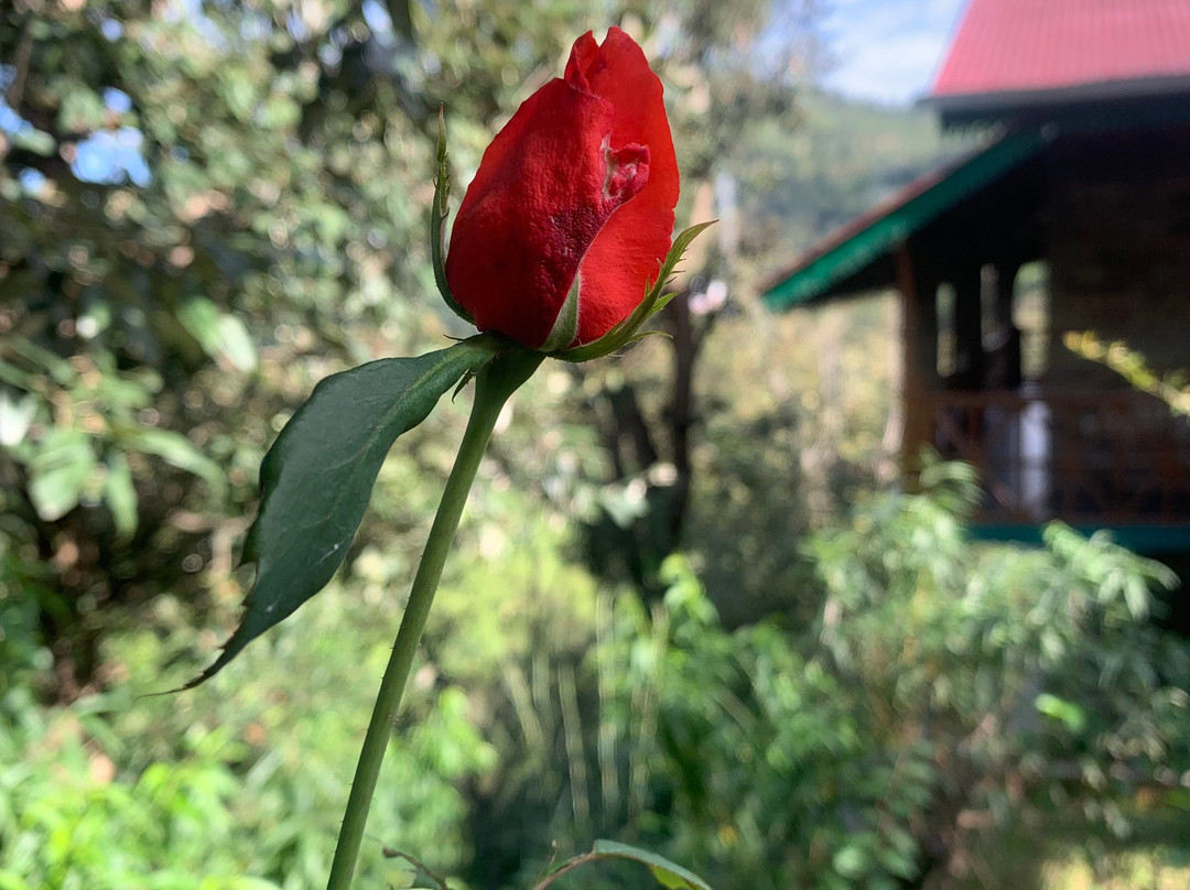 The Green Village Eco Resort主图