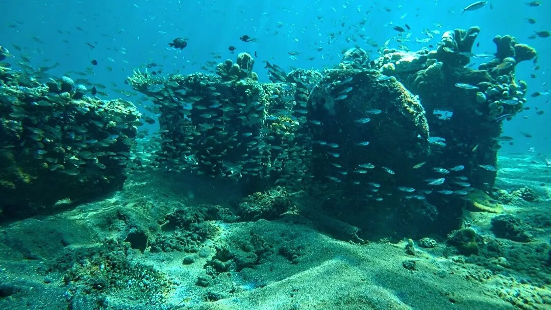 Tesoeshop Snorkeling Amed Bali-Bunutan必去景点