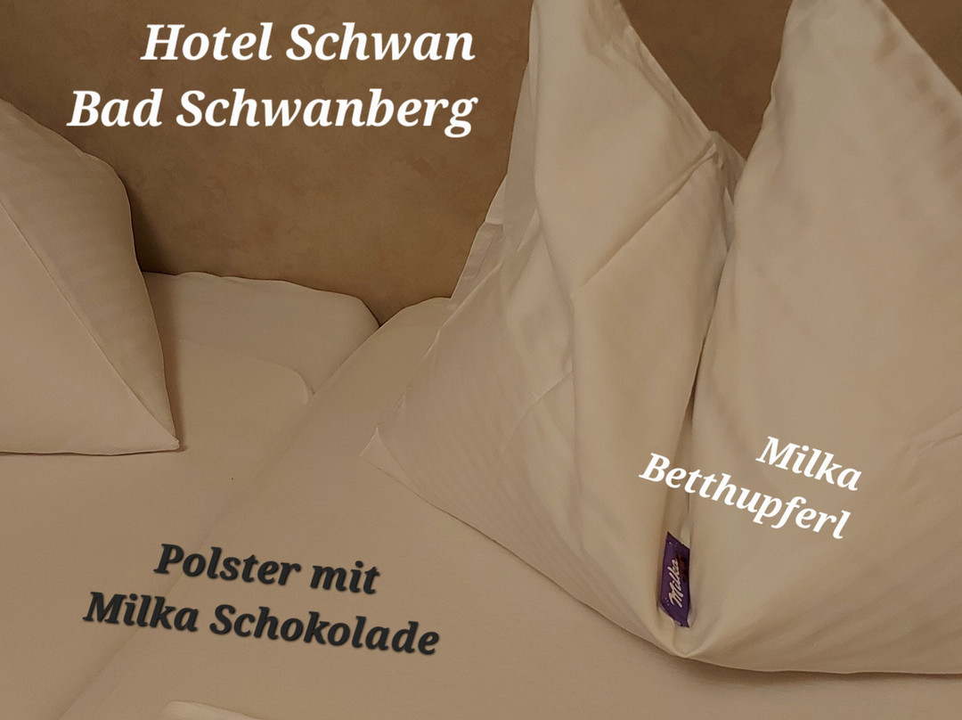 Hotel Zum Schwan主图