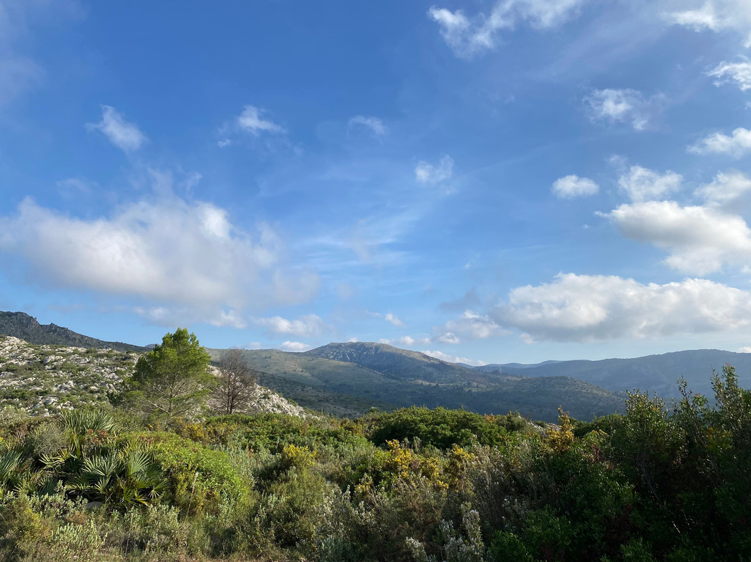 Refugio Ecoburropark景点图片