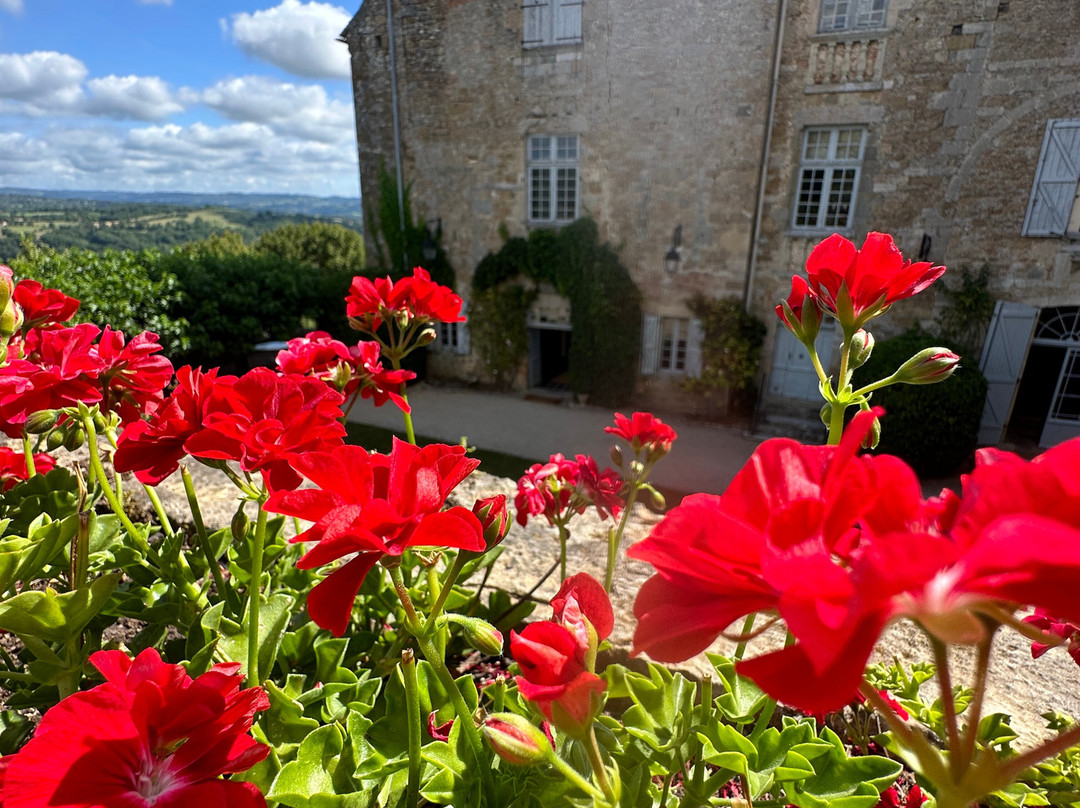 Camp Château