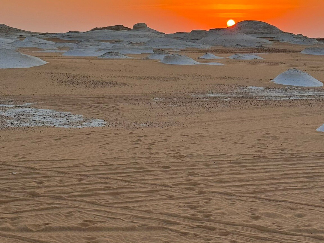 Desert Treasures Tours - Day Tours景点图片