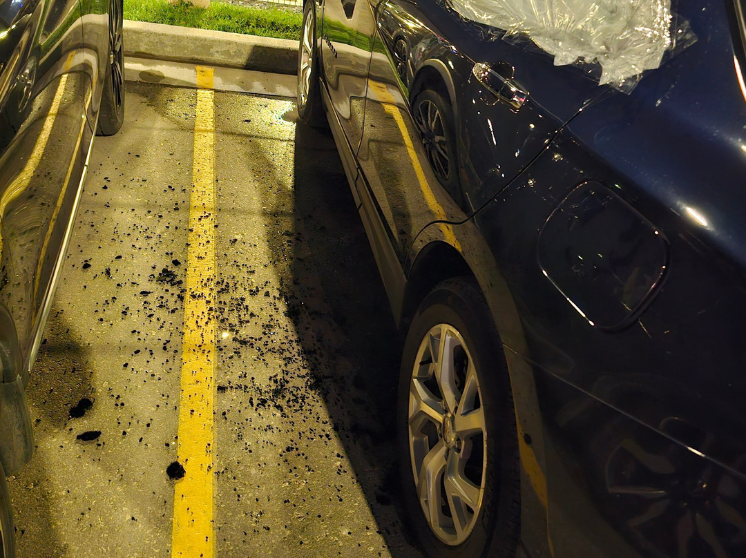 Hilton Garden Inn Winnipeg South主图