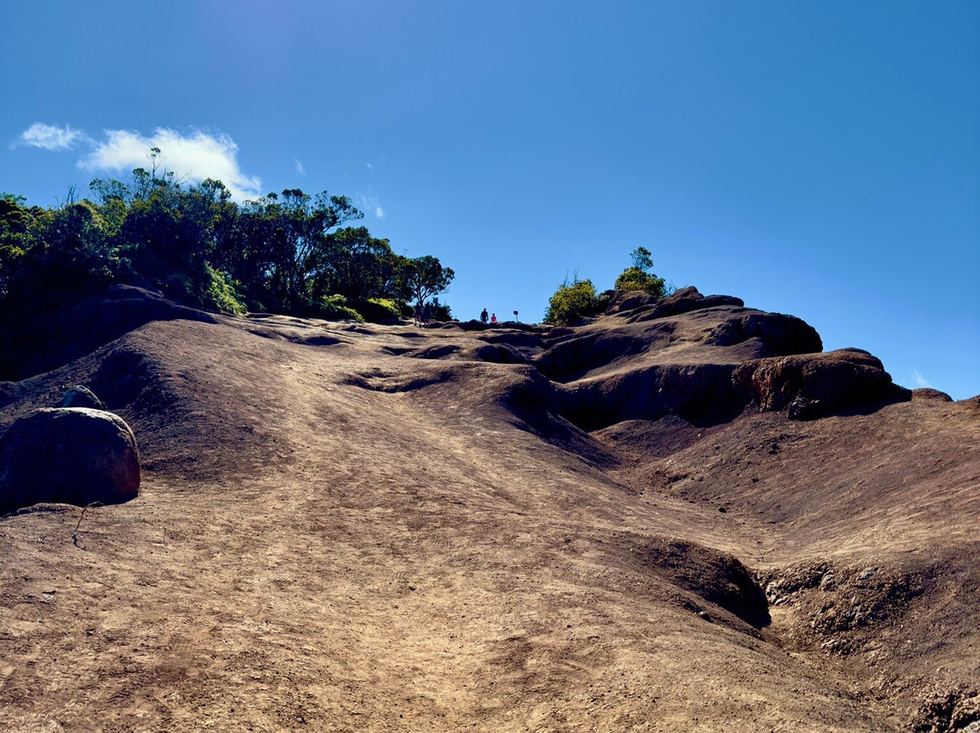 Pihea Trail-科卡哈必去景点