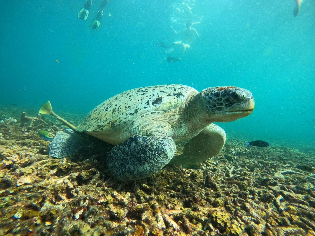 Sangthong Tours-涛岛必去景点
