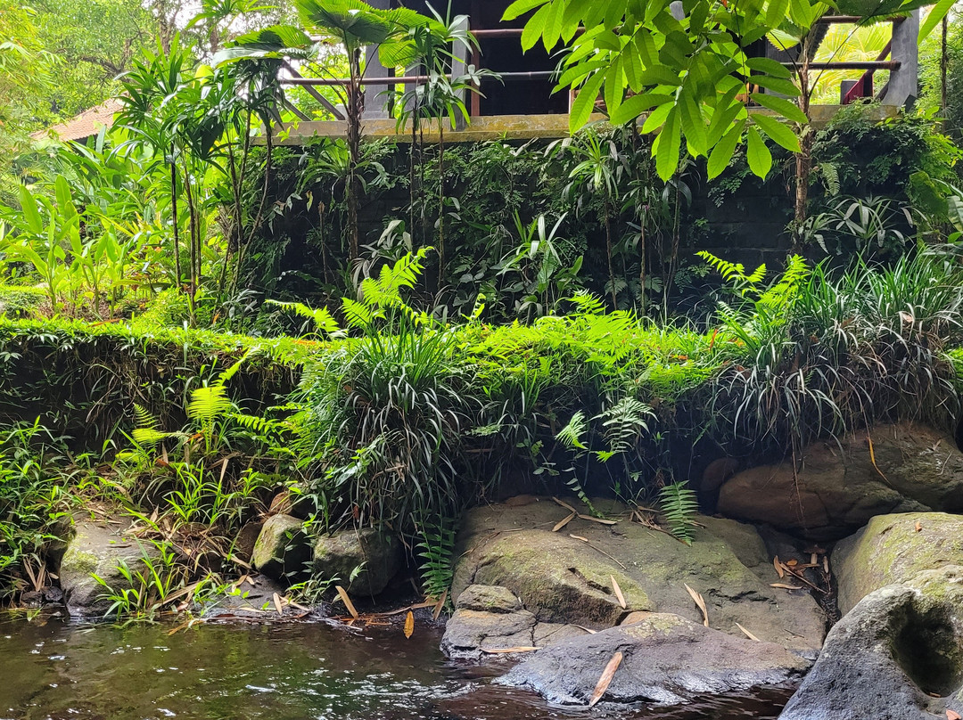 巴厘岛生态度假村主图