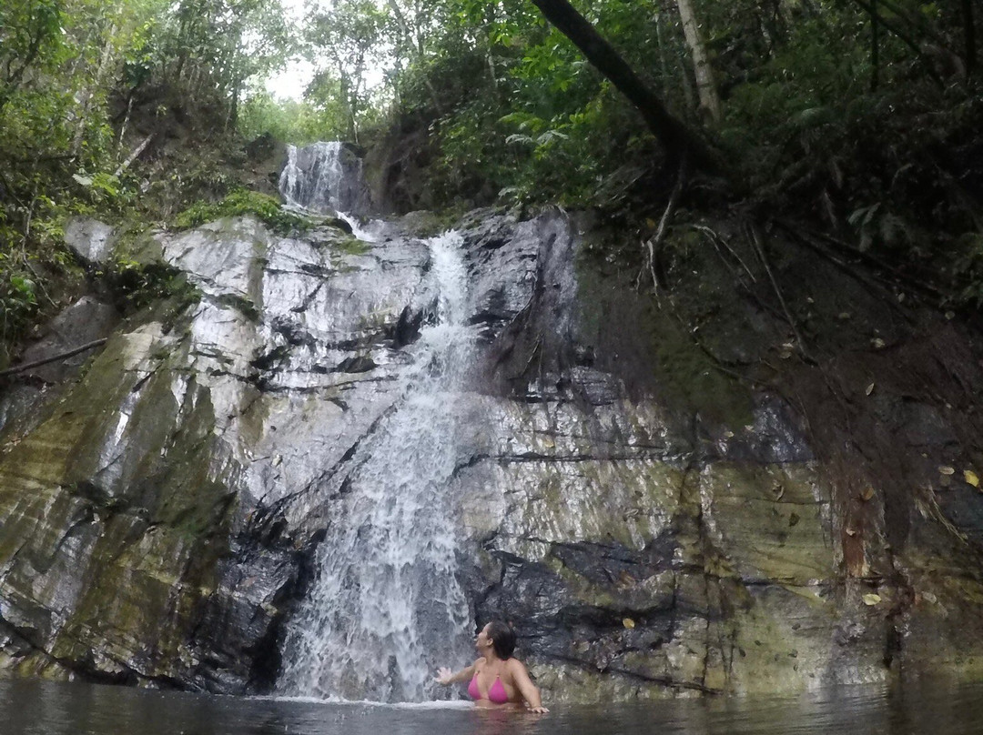 Cachoeira Palmito-Pirenopolis必去景点