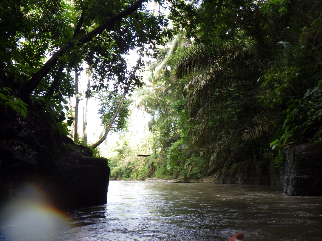 Rafting Ubud Bali-乌布必去景点