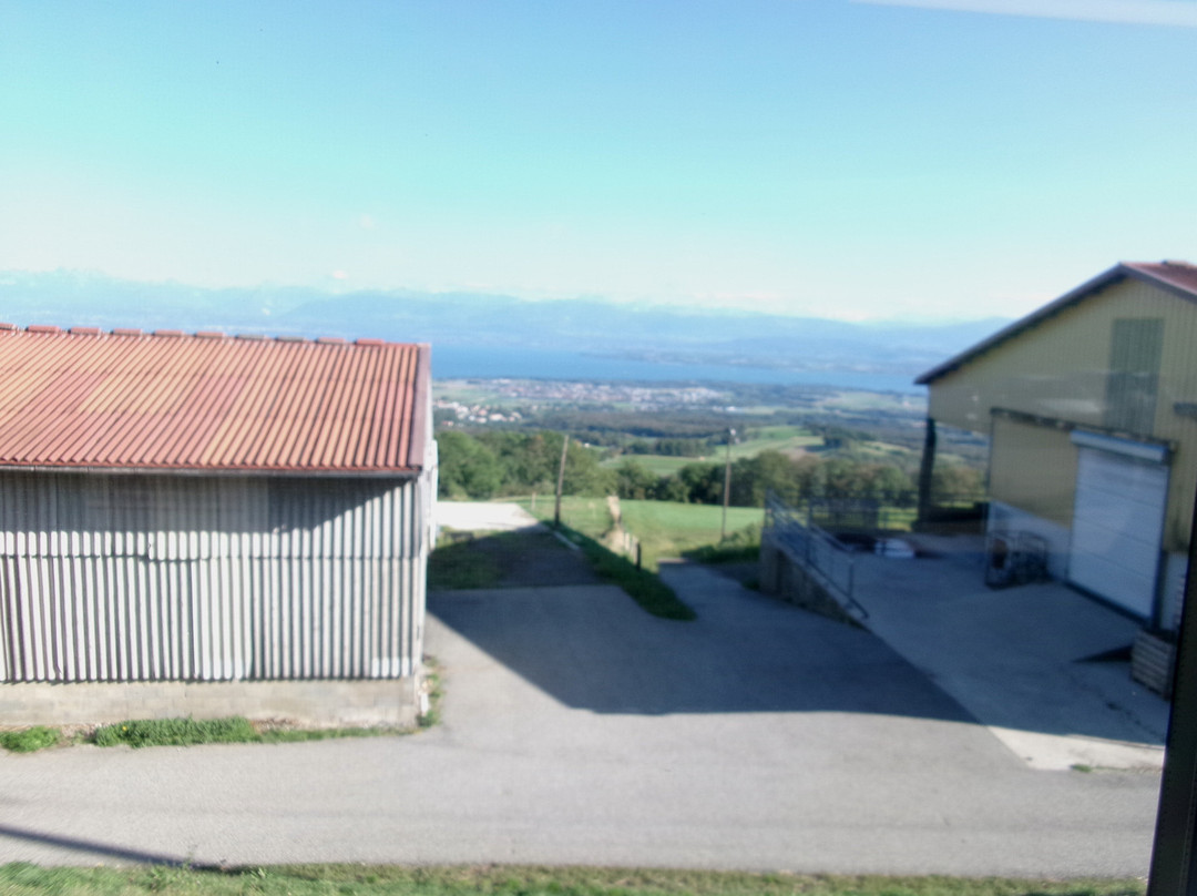 Nyon St-Cergue La Cure Railway-尼永必去景点