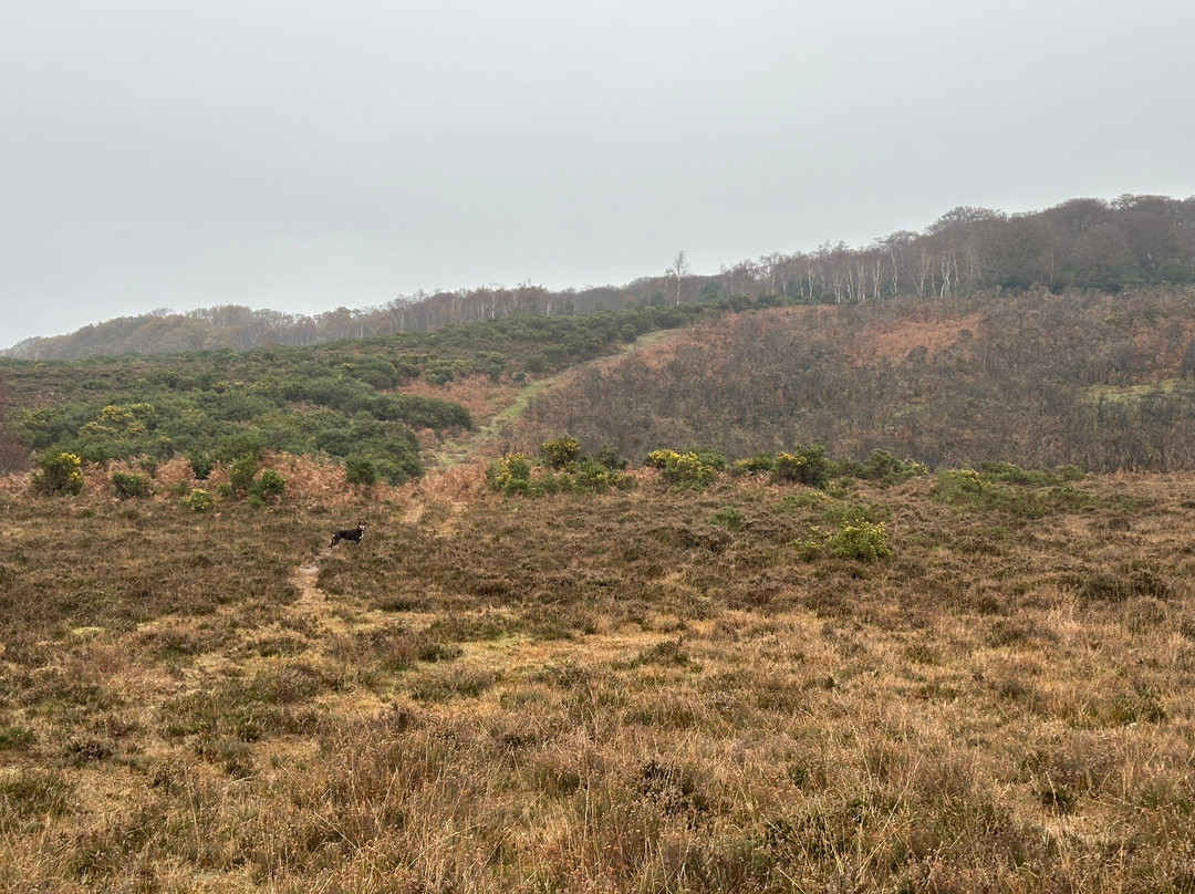 The Burley Inn Hotel主图