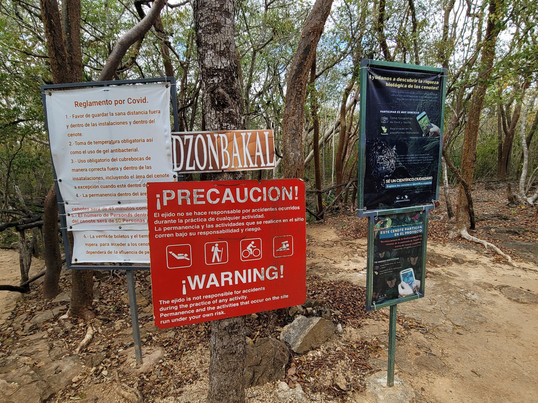 Cenotes X' Batún Y Dzombakal.-Uman必去景点
