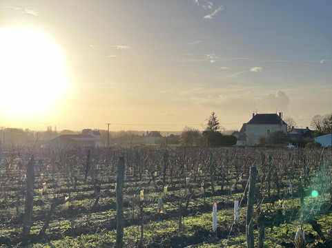 Domaine de l'Enchantoir-Le Puy-Notre-Dame必去景点