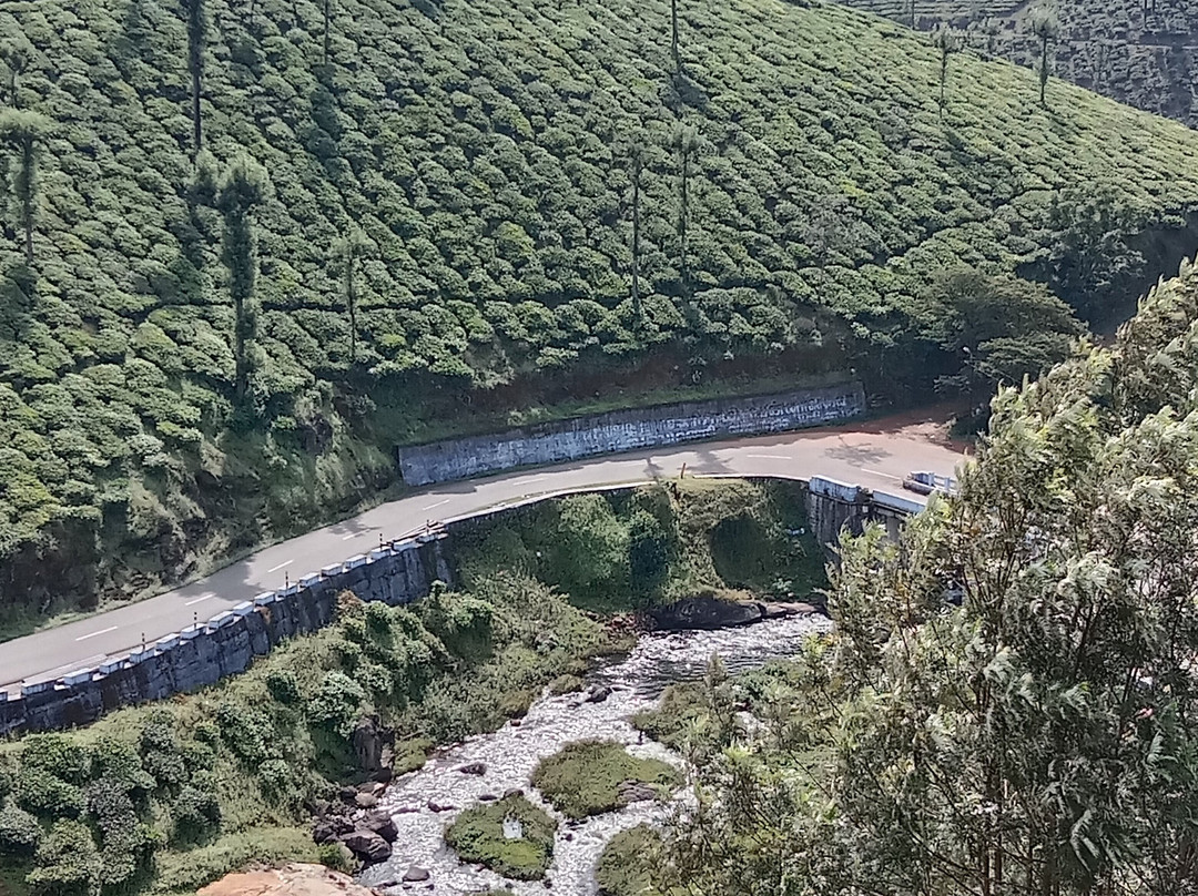 Misty Creek Homestay主图