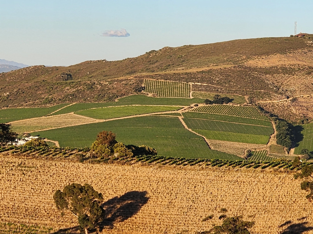 Mooiplaas Wine Estate-斯泰伦博斯必去景点