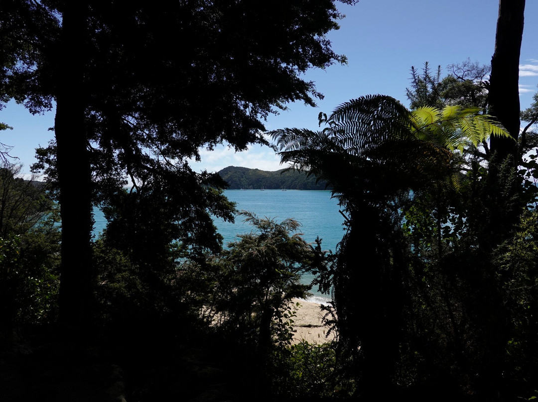 Abel Tasman Guides景点图片