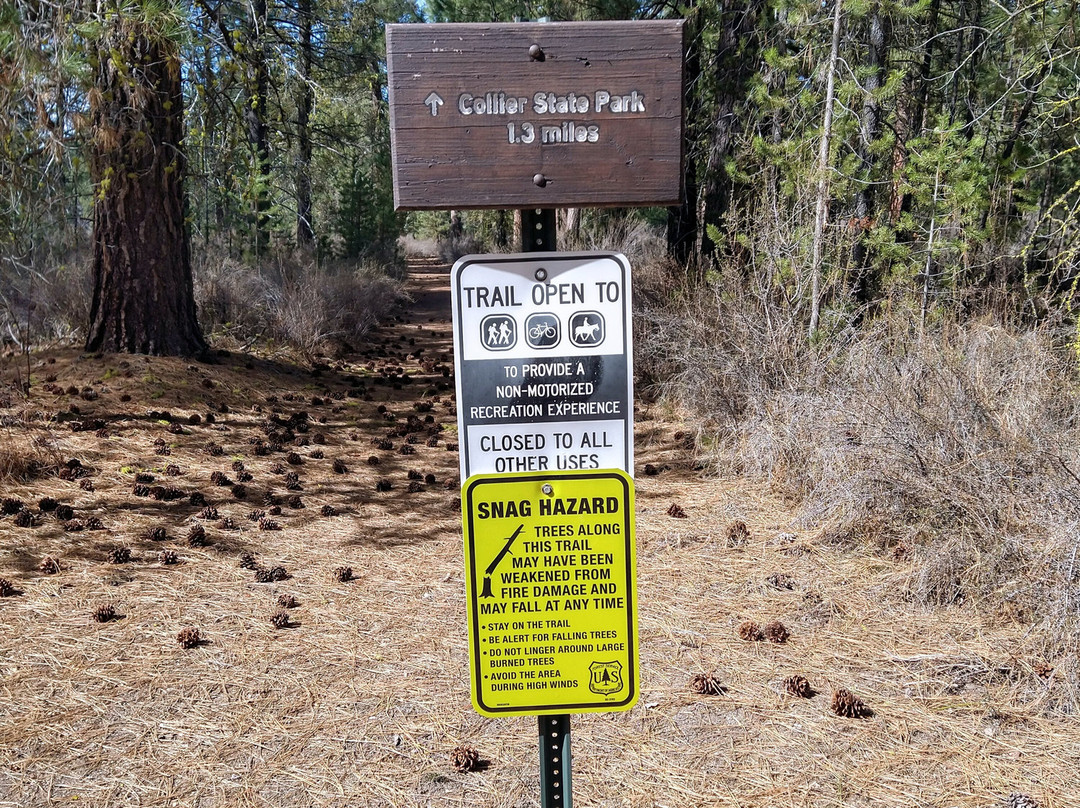 Williamson River Trail-Chiloquin必去景点