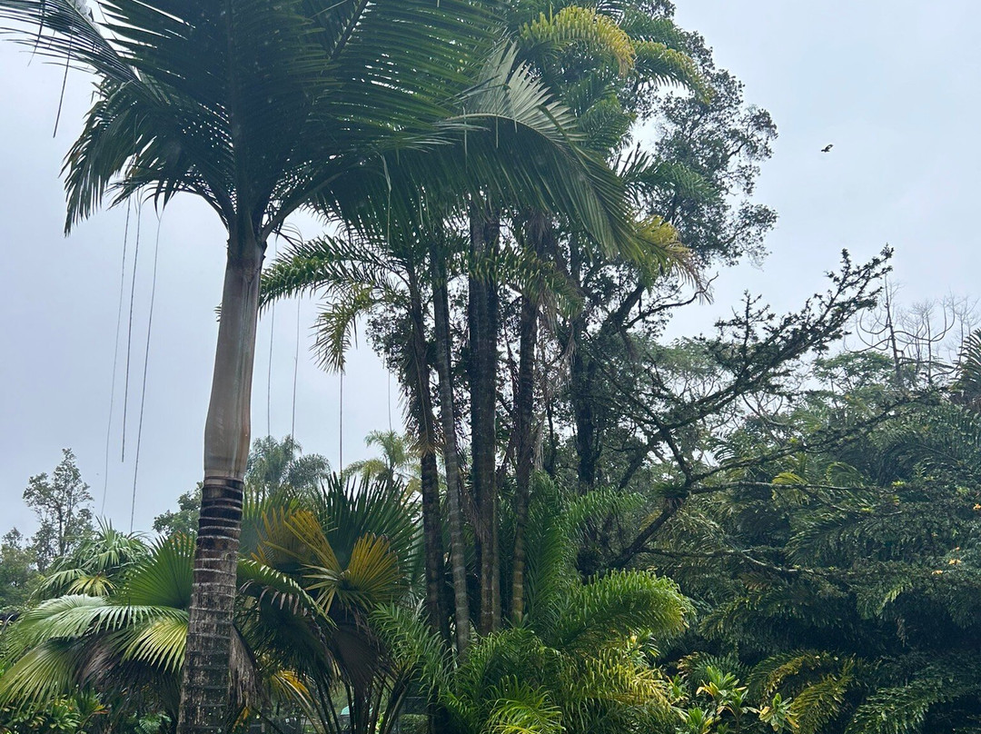 帕奈瓦热带雨林动物园-希洛必去景点