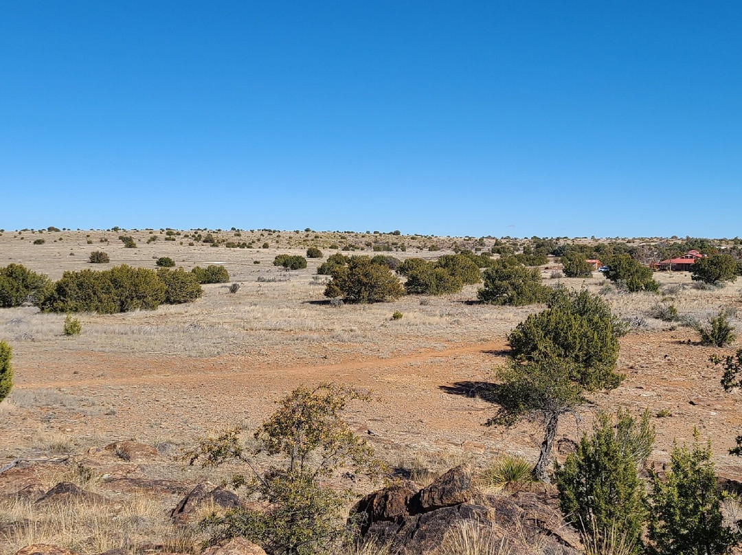 Chihuahuan Desert Nature Center & Botanical Gardens-Fort Davis必去景点