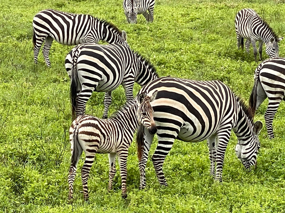 Urth Expedition-阿鲁沙必去景点