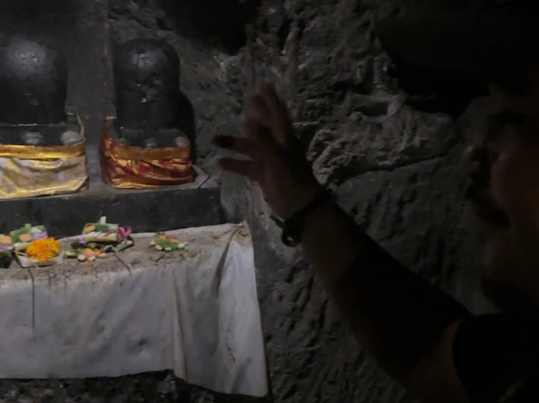 Elvys Bali Tours-登巴萨必去景点