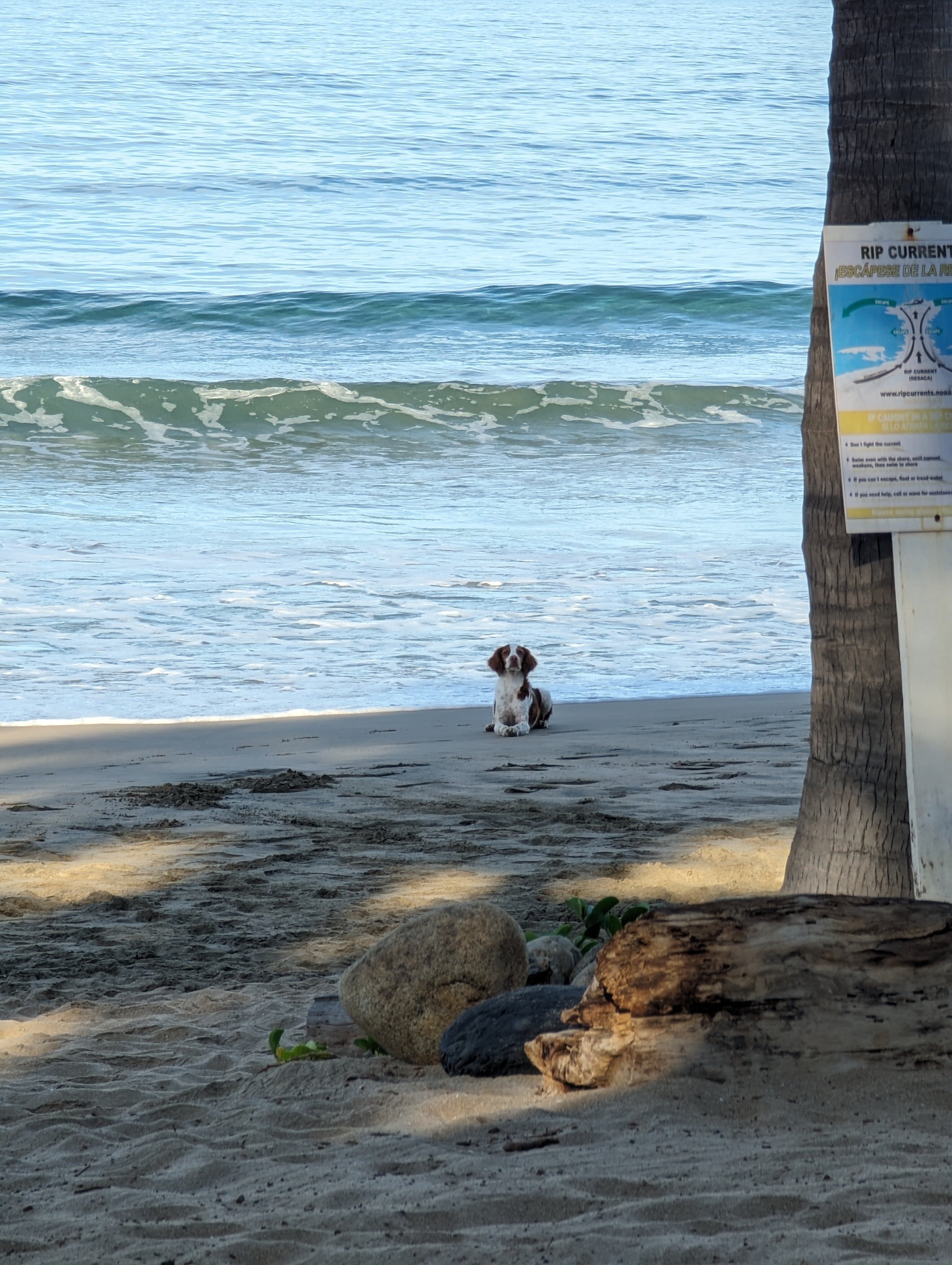 Los Raqueros Bed and Breakfast-泳池