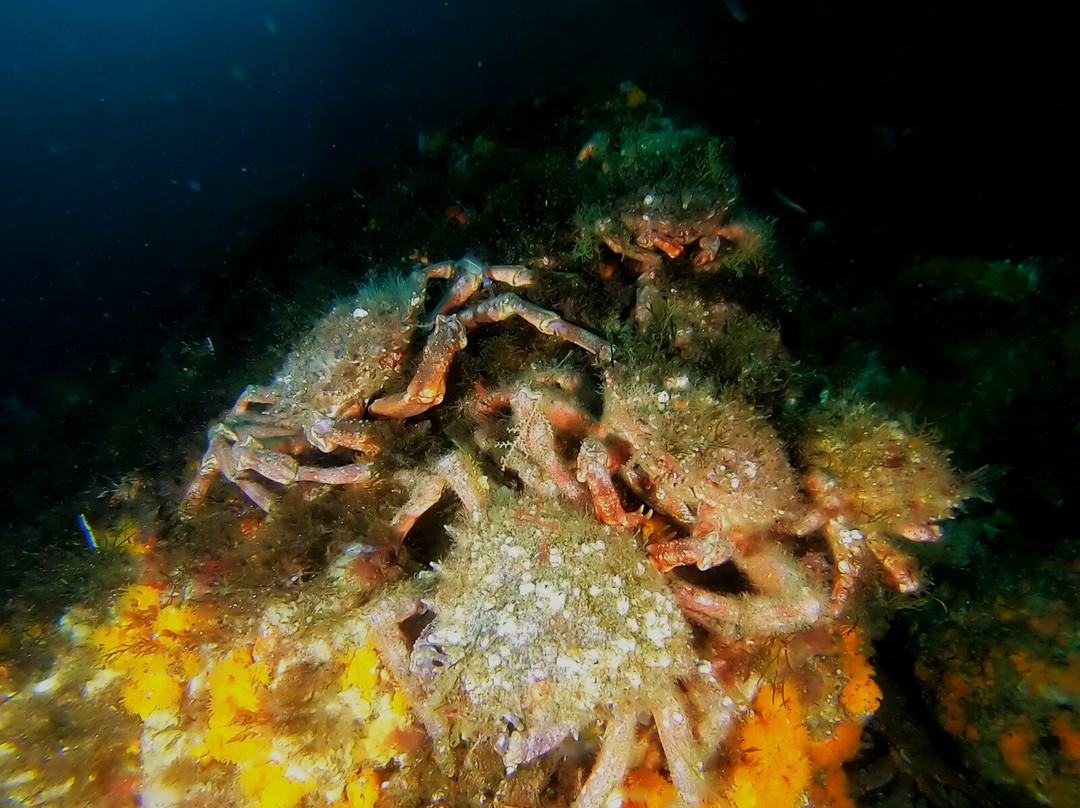 Centro de Buceo Burbujas-Ceuta必去景点
