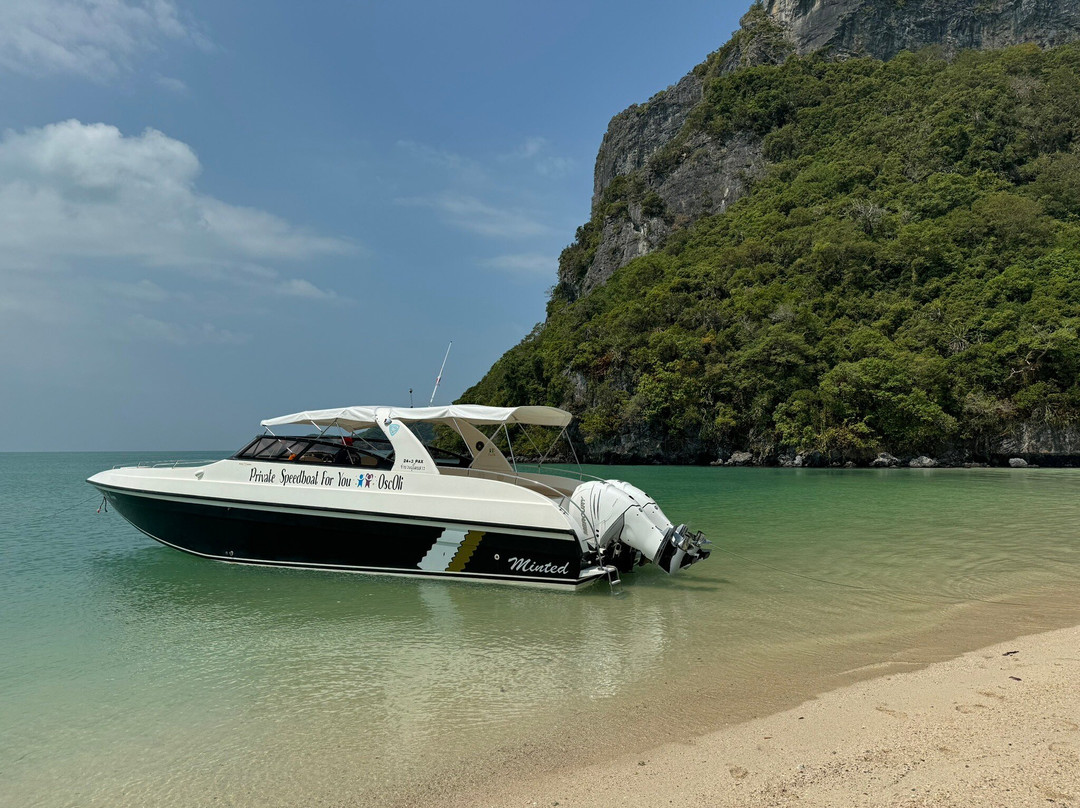Private speed boat for you-湄南必去景点