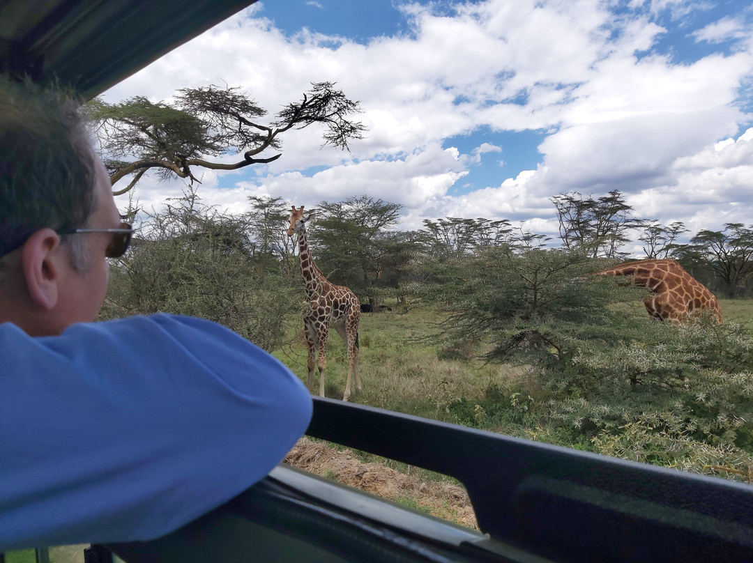 Julius T Safaris景点图片